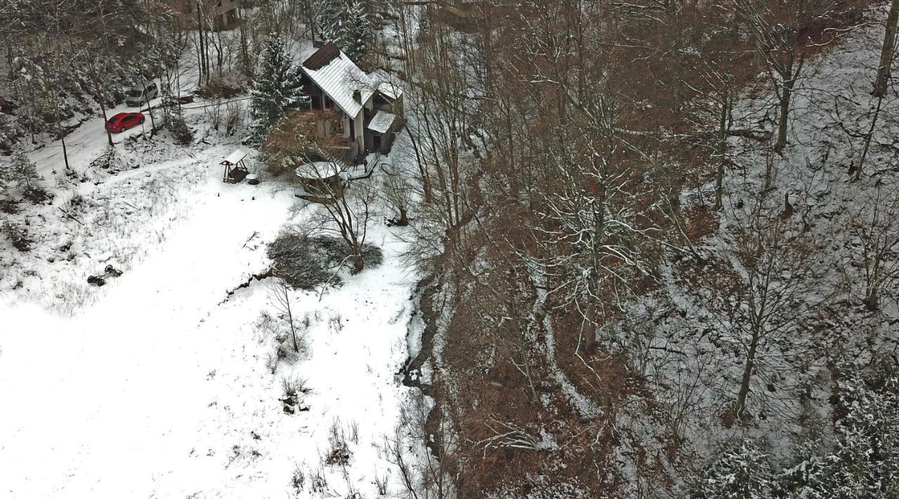 Casa De Vacanta Satic Piatra Craiului La Doi Viermi Exterior photo