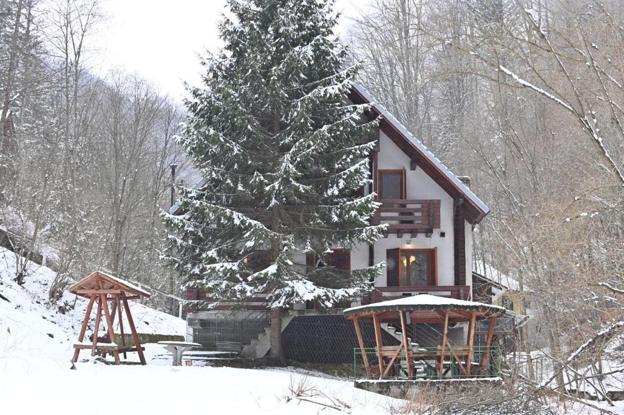 Casa De Vacanta Satic Piatra Craiului La Doi Viermi Exterior photo