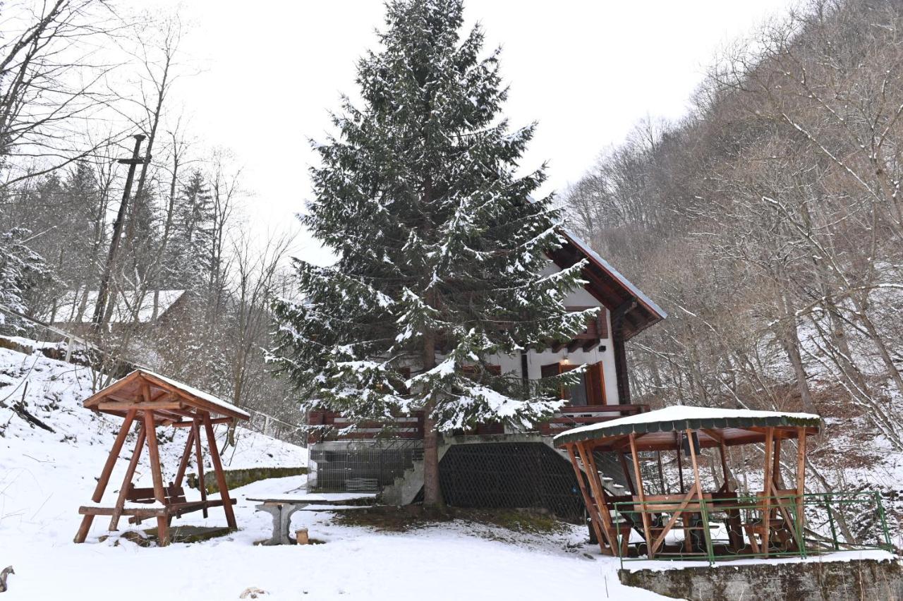 Casa De Vacanta Satic Piatra Craiului La Doi Viermi Exterior photo