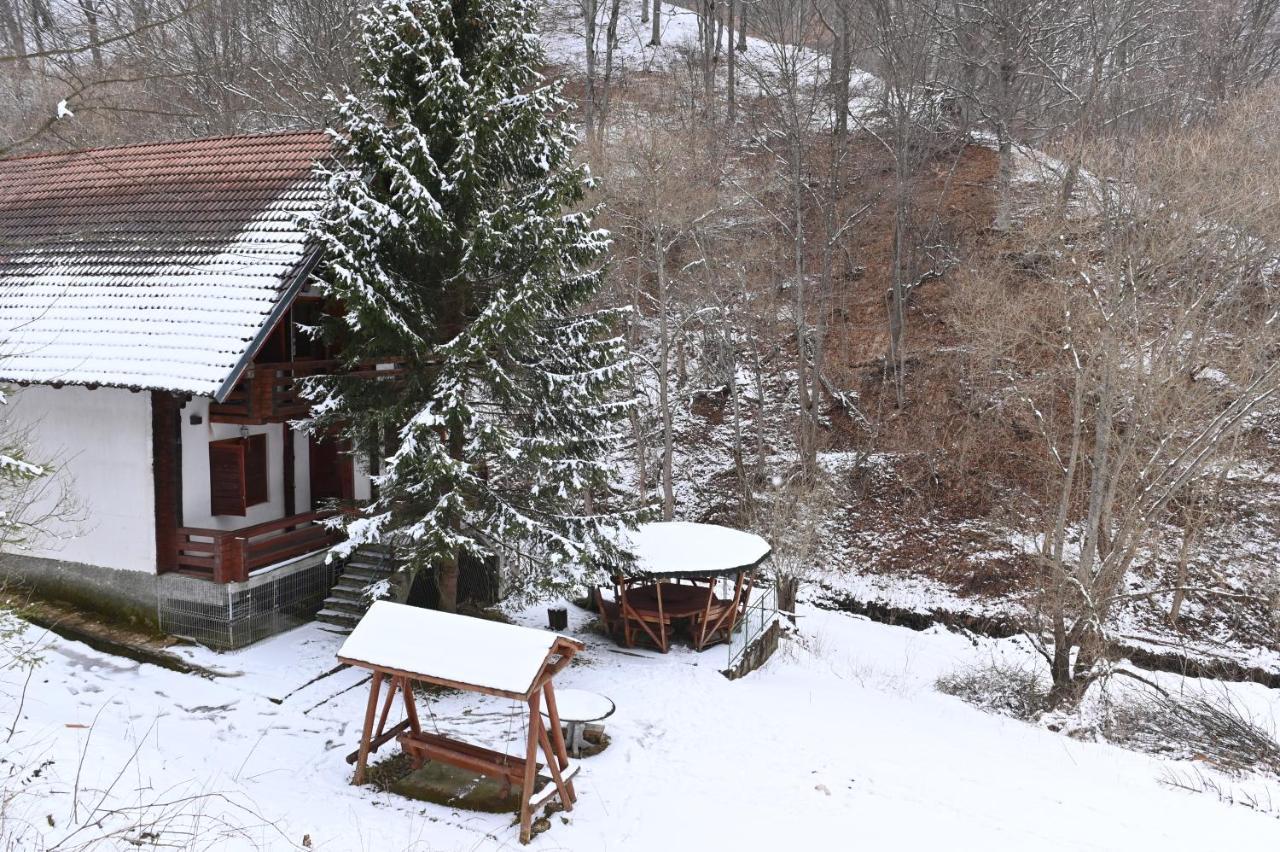 Casa De Vacanta Satic Piatra Craiului La Doi Viermi Exterior photo