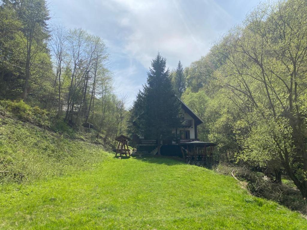 Casa De Vacanta Satic Piatra Craiului La Doi Viermi Exterior photo