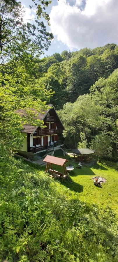 Casa De Vacanta Satic Piatra Craiului La Doi Viermi Exterior photo